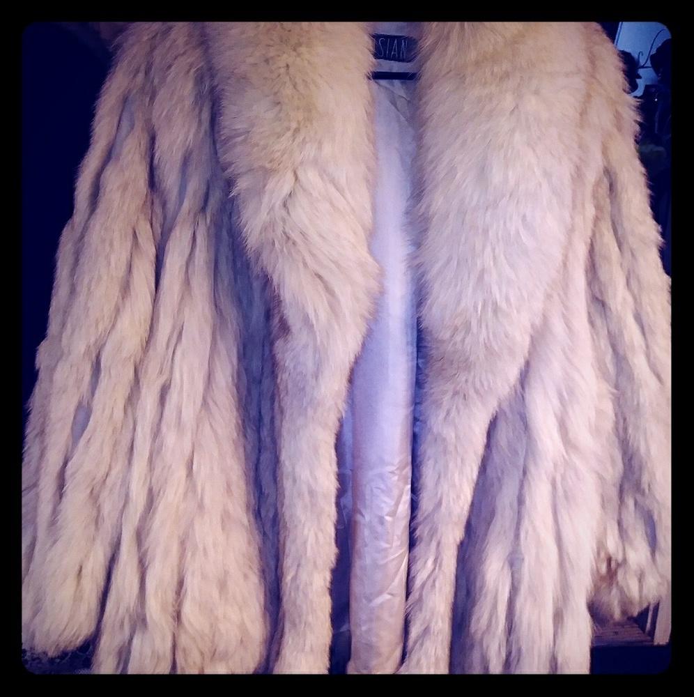 Blue fox fur